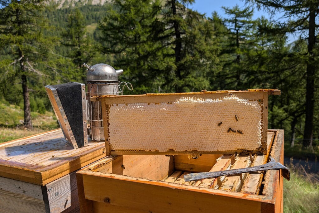 beeswiss honig bienenstock